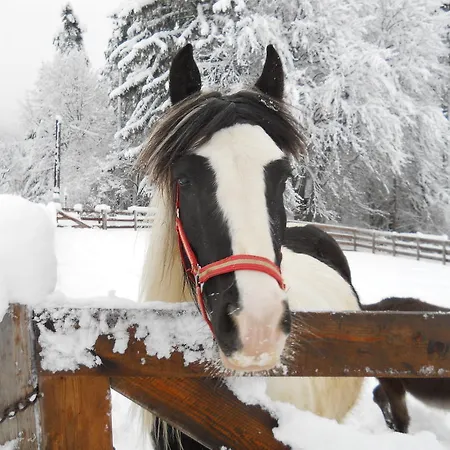Çiftlik konaklama Gaestehaus Gapp Wildermieming