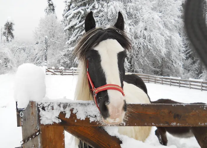 Κατάλυμα σε φάρμα Gaestehaus Gapp Wildermieming